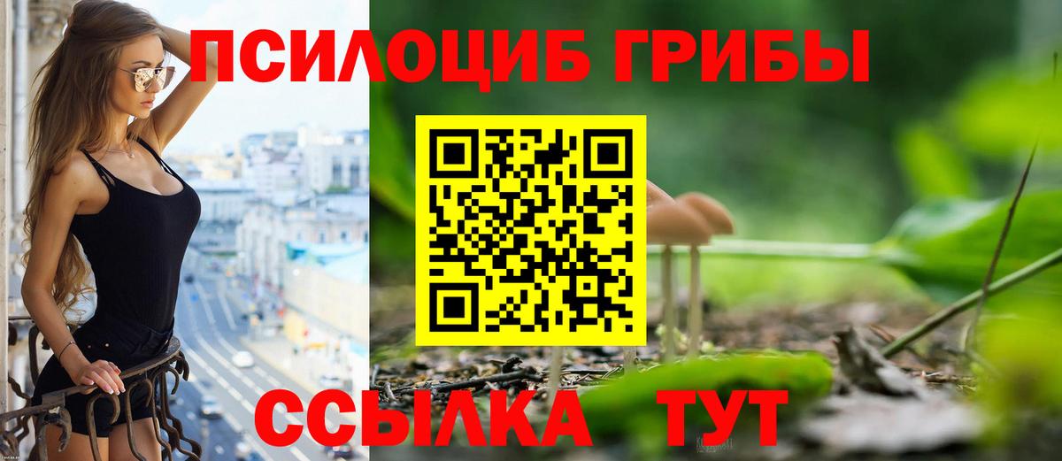 Галлюциногенные грибы Psilocybine cubensis  Вход с VPN  Псилоцибиновые грибы GOLDEN TEACHER  Белово 