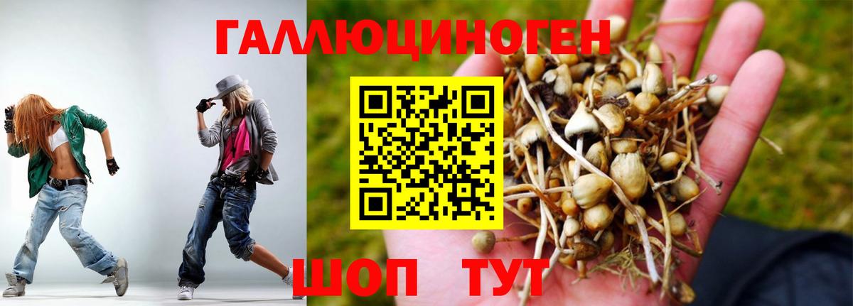 Галлюциногенные грибы MAGIC MUSHROOMS Белово